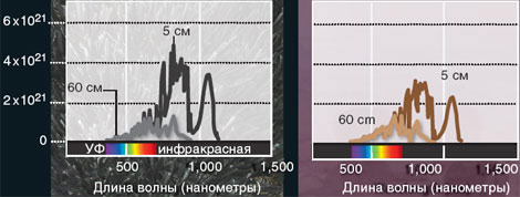 растения на планетах