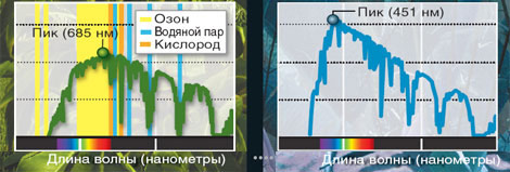растения на планетах