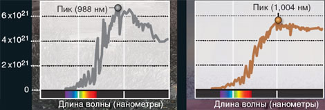 растения на планетах